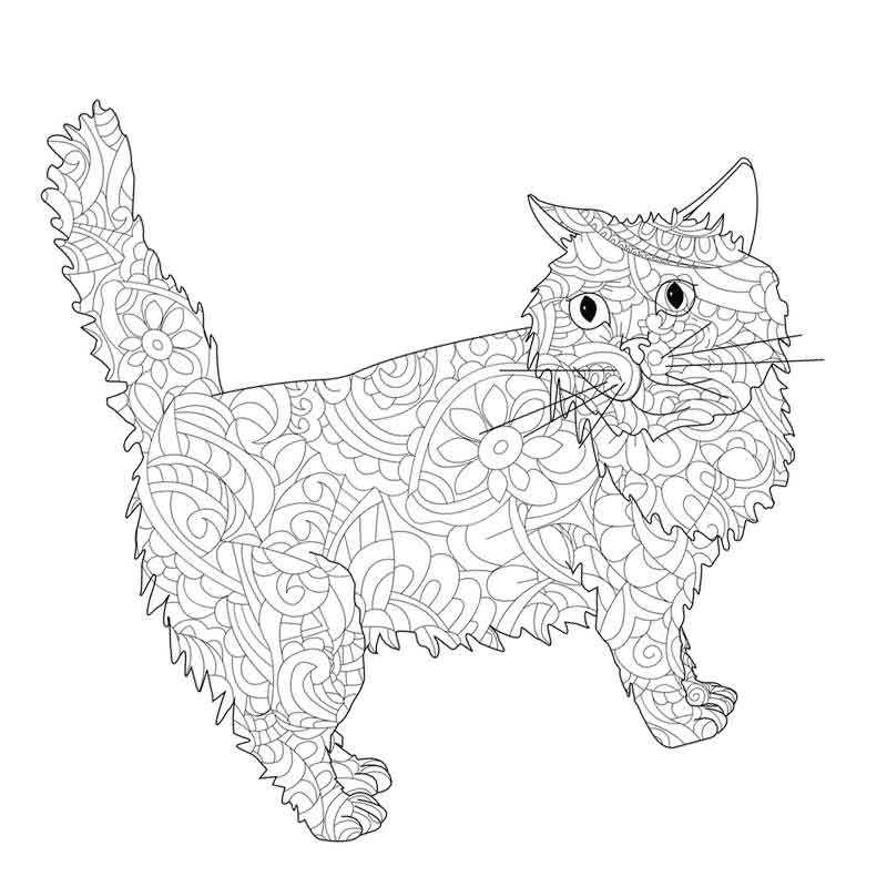 Раскраска Антистресс кот