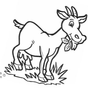 коза ест траву