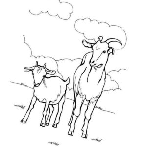 коза и козленок гуляют по полю