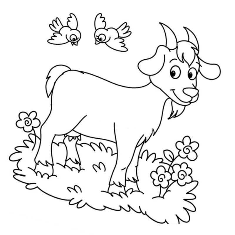 коза на лужайке