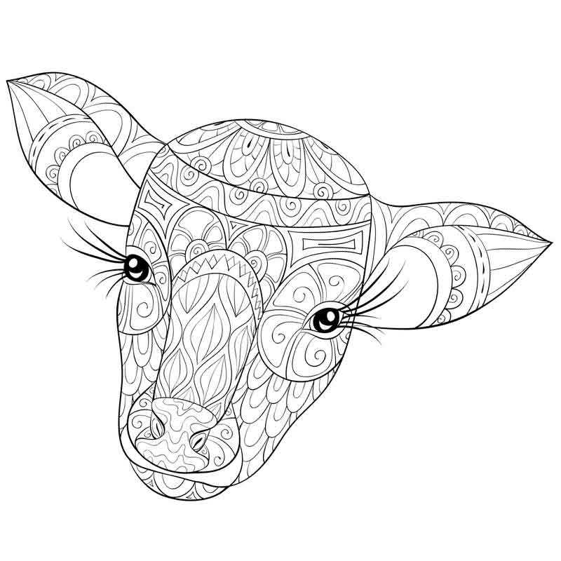 Красивая голова коровы