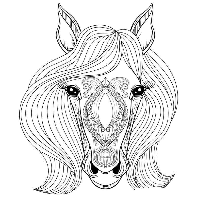 Голова лошади рисунок поэтапно | Эскизы животных, Рисунки, Рисунки животных