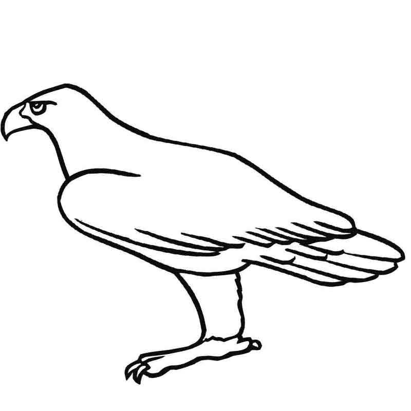 Орел контурный рисунок (44 фото)