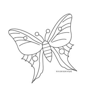 Крепкая бабочка
