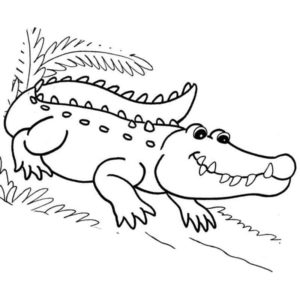 крокодил добряк