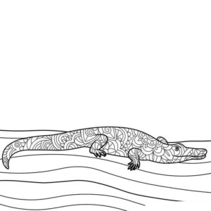 Крокодил на песке
