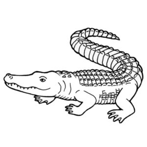 крокодил ползет