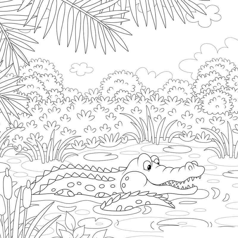 Крокодил в речке