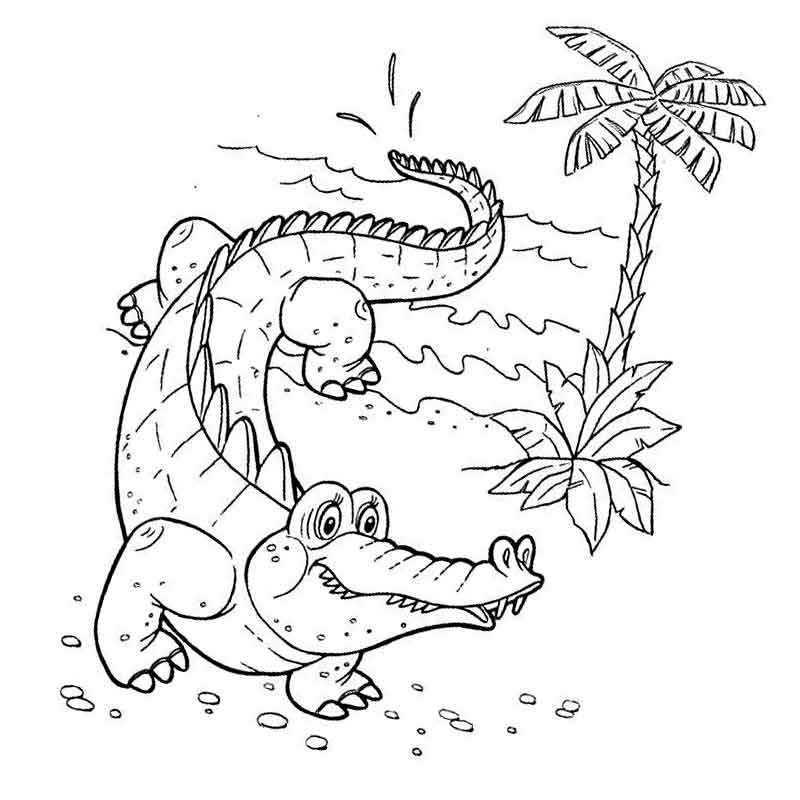 крокодил вышел погрется на берег