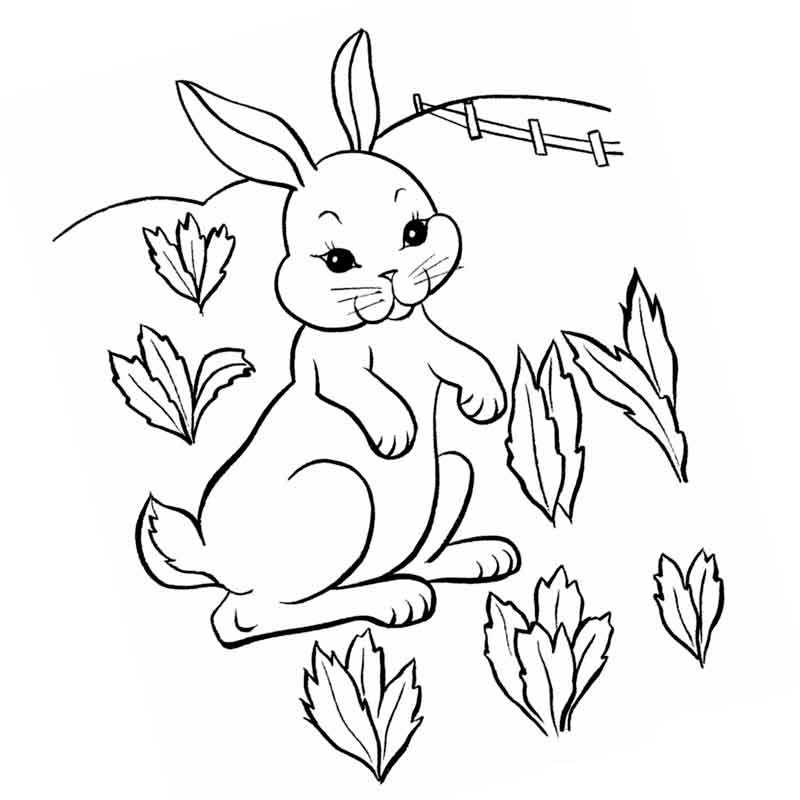 Кролик — раскраска