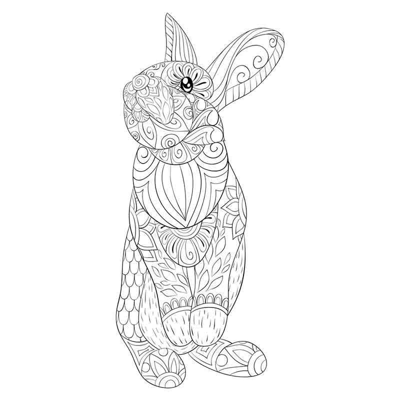 Раскраски Кролик - распечатать в формате А4 | Раскраски с животными, Детские раскраски, Раскраски
