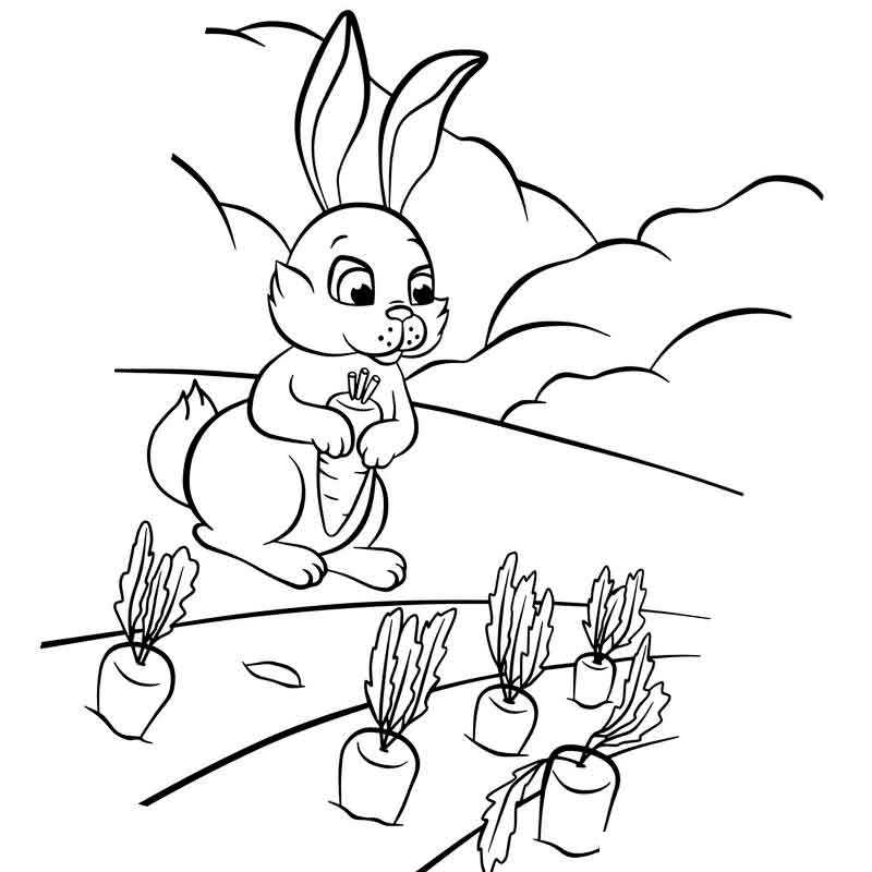 Кролик высаживает морковку