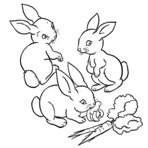 Кролики и морковь