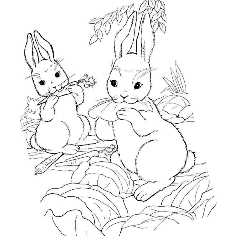 кролики на обеде