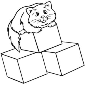 кубики и кот