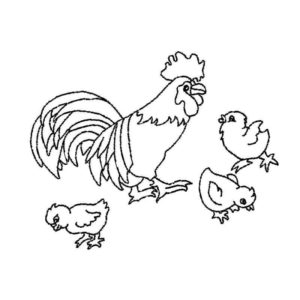 курица и цыплята домашняя птица