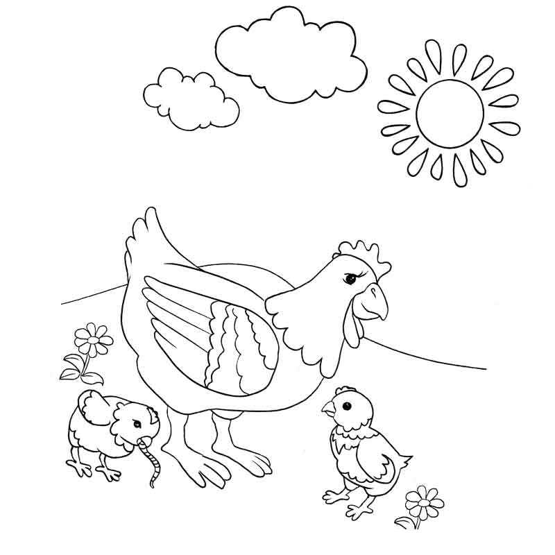 Раскраски курицы, куры и цыплята: Анимированные картинки и гифки