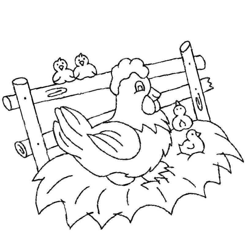 курица отдыхает с птенцами