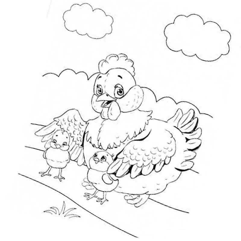 курица с маленькими цыплятами