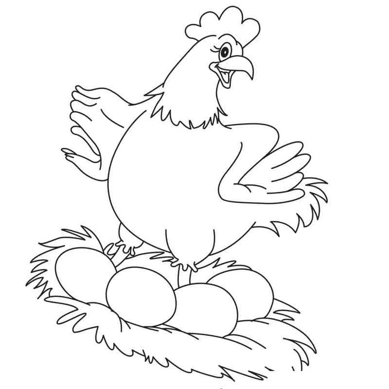 курица со своими яйцами