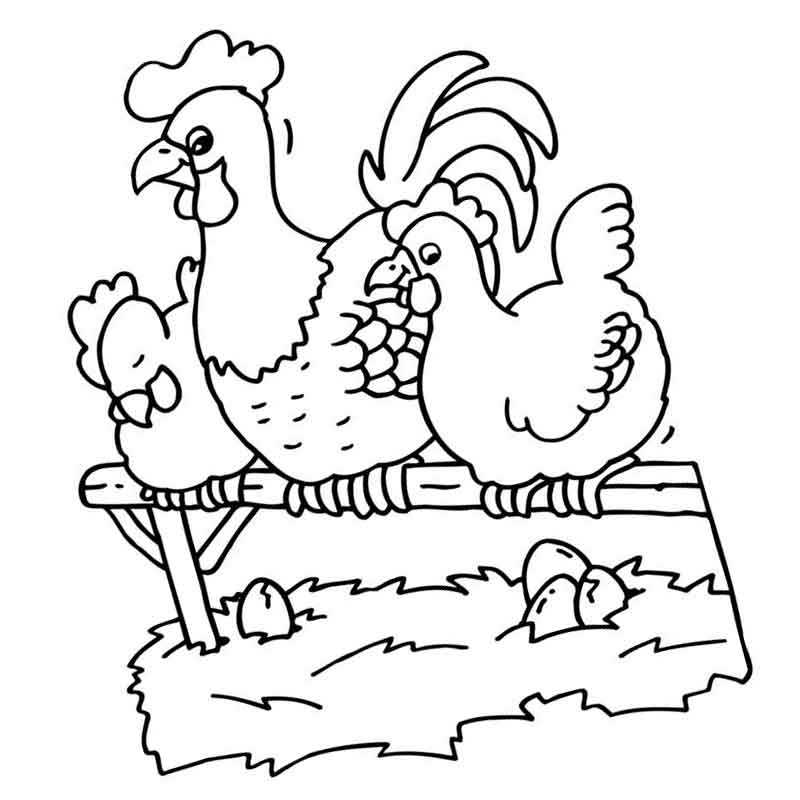 Раскраски курицы для детей распечатать