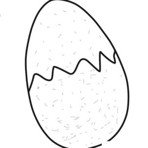 куриное яйцо