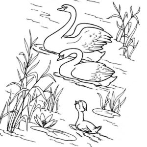 лебеди с лебеденком на озере
