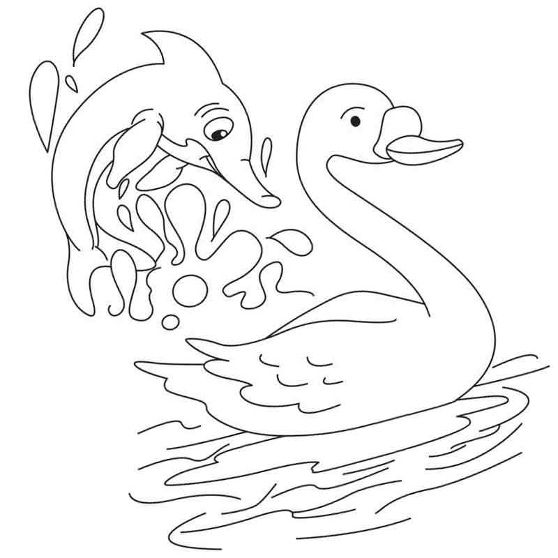 лебедь и рыбка