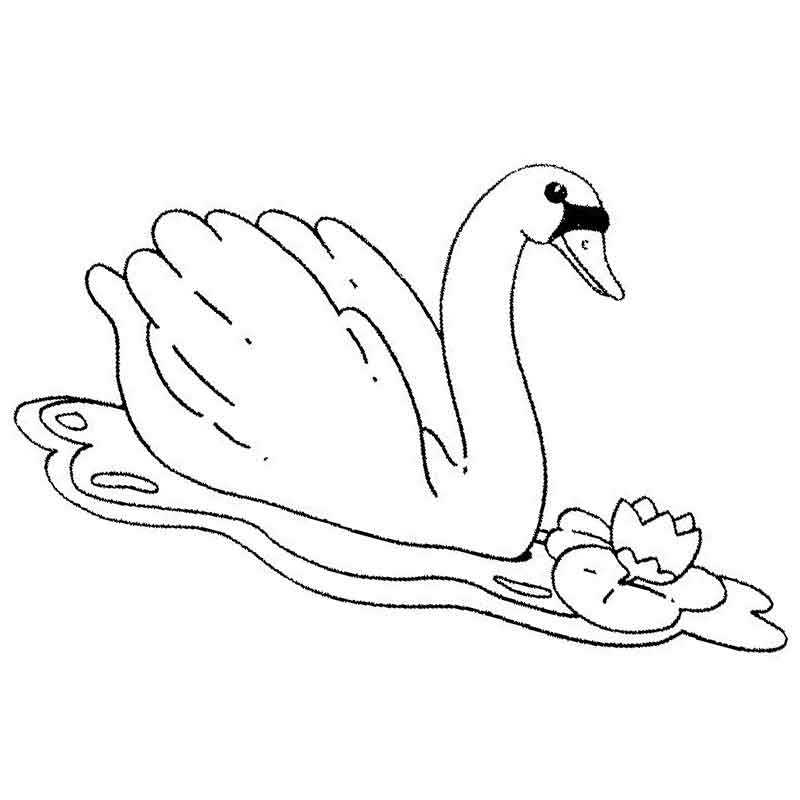 Раскраска Лебедь — распечатать и скачать бесплатно для детей