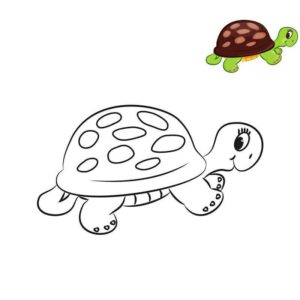 Легкая черепаха