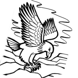 Летящий орел