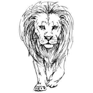 Лев царь животных