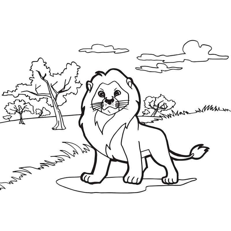 Лев на природе