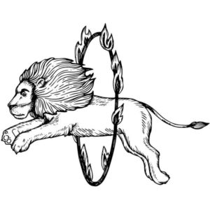 Лев прыгает через огненый обруч