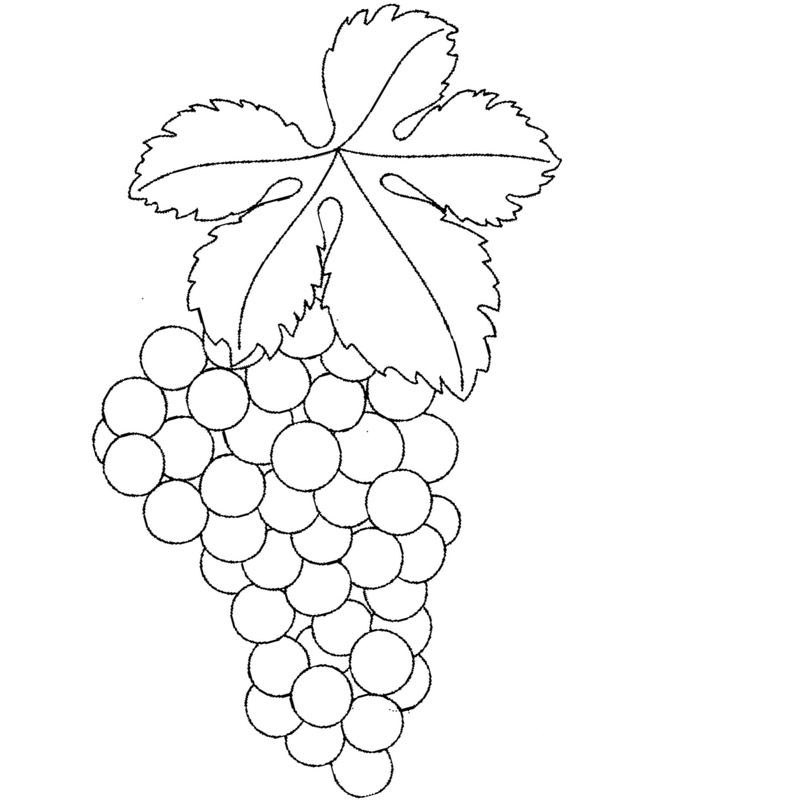 лист и виноград