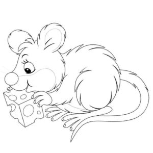 лохматая мышь кушает сыр