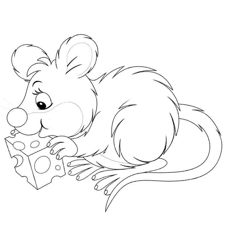 лохматая мышь кушает сыр