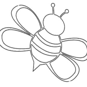 Любимая пчела