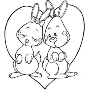 любовь между зайцами