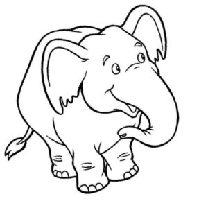 любознательный слон