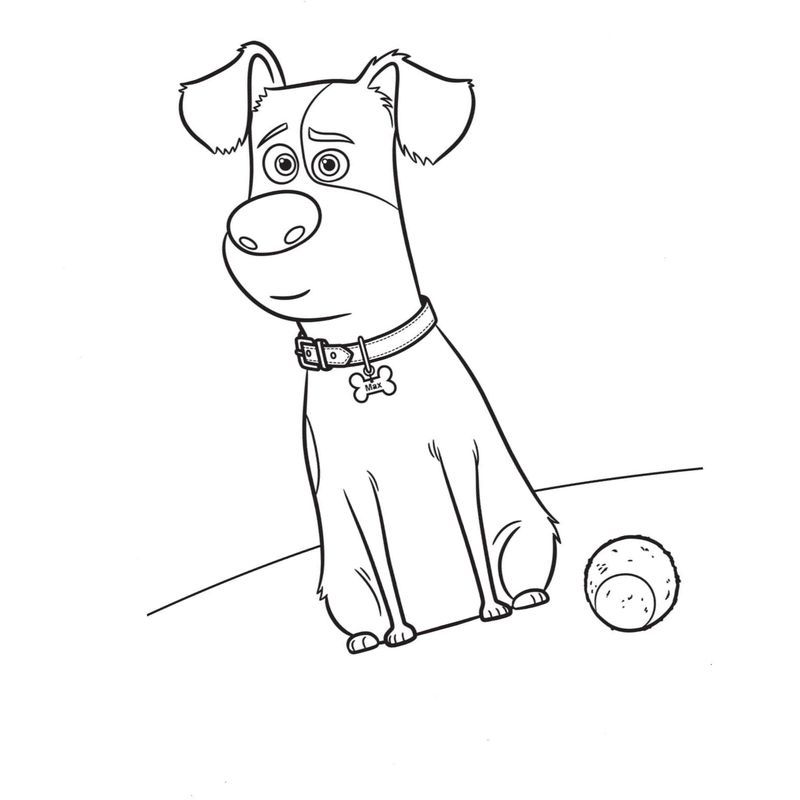 Макс и мячик тайная жизнь домашних животных