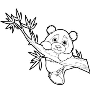 маленькая панда на дереве
