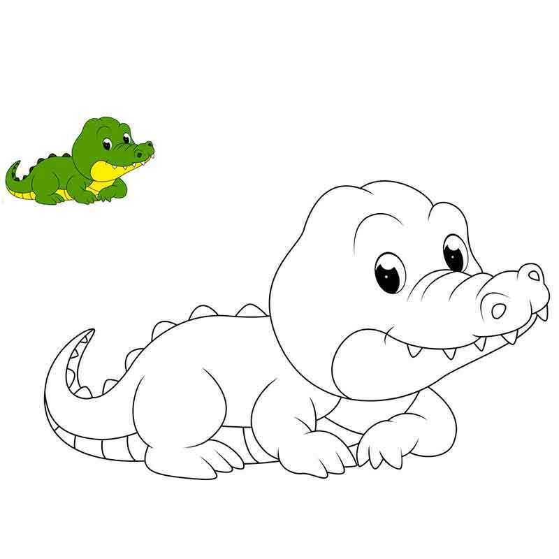Маленький крокодильчик