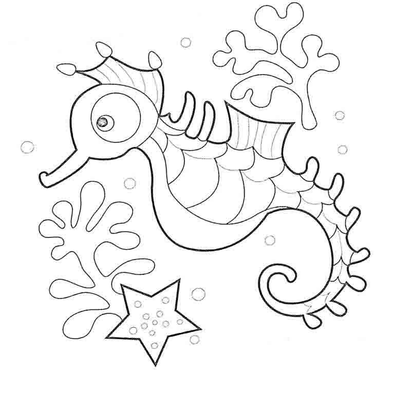 Раскраска морской конек Изображения – скачать бесплатно на Freepik