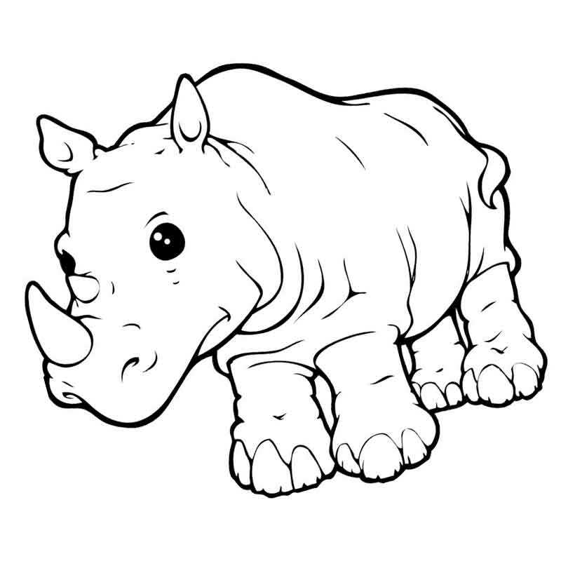 малыш носорог