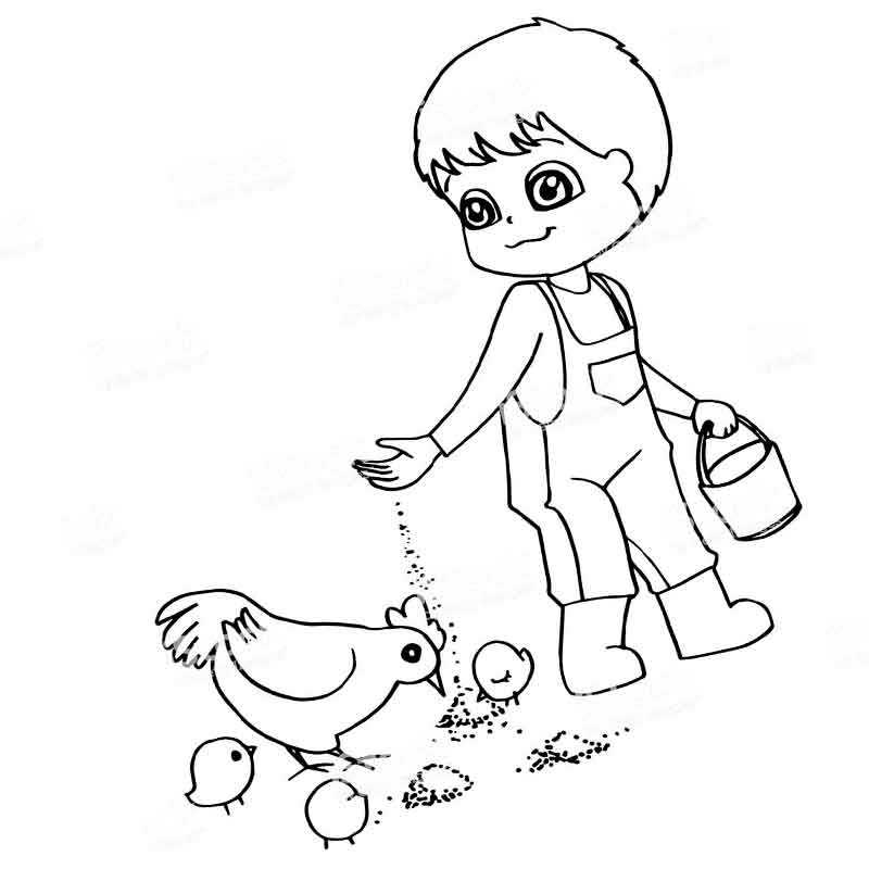 мальчик кормит курицу с цыплятами