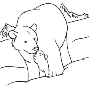 мама белого медвежонка