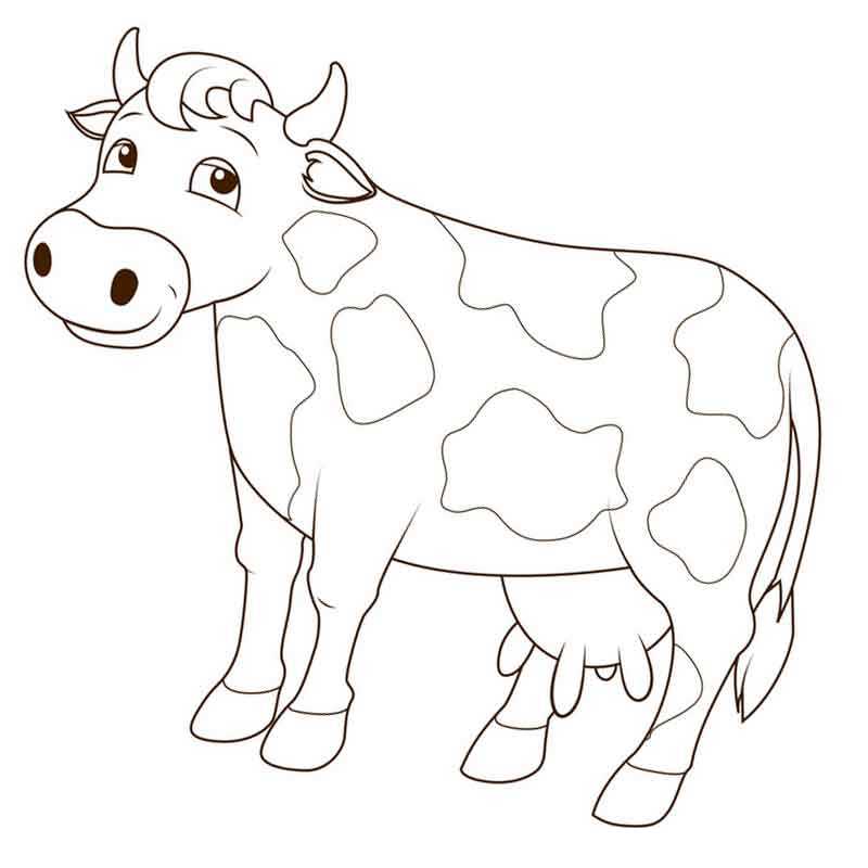 Раскраски коровы
