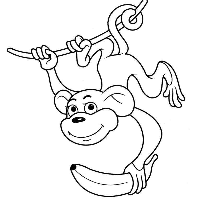мартышка с бананом висит на веревке