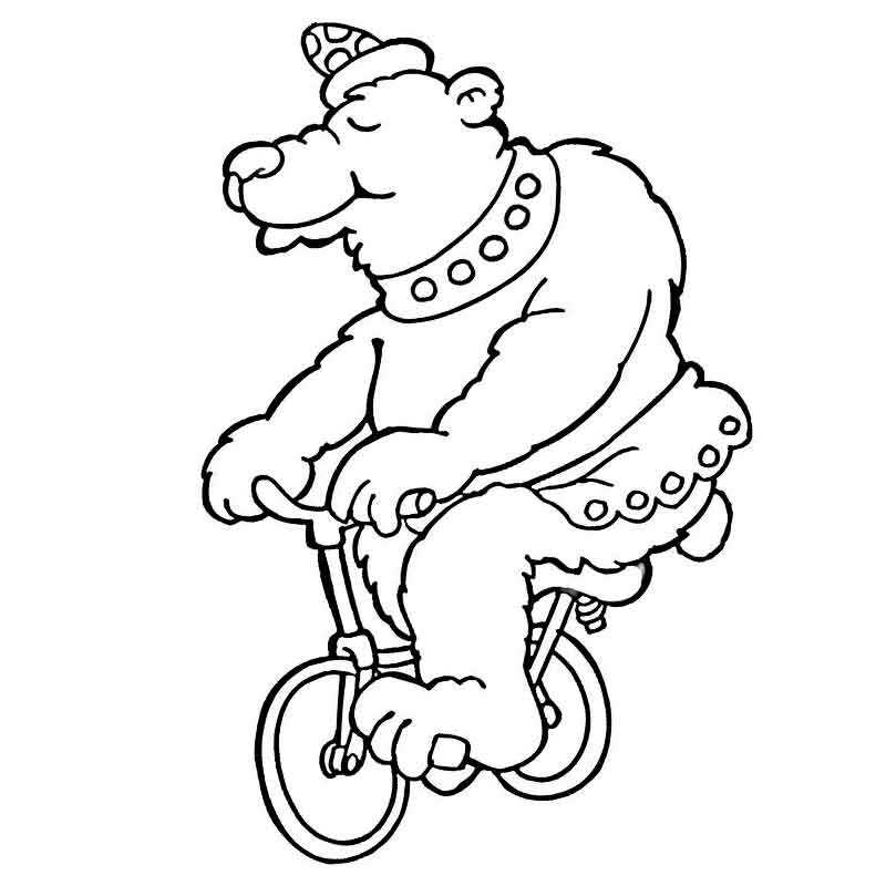 медведь на велосипеде